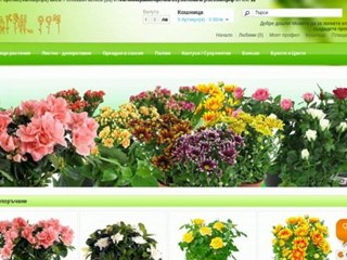 Доставка на саксийни растения и цветя - http.SAKSII.com