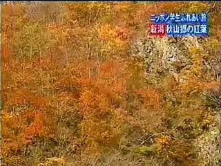 しんえつへたれ