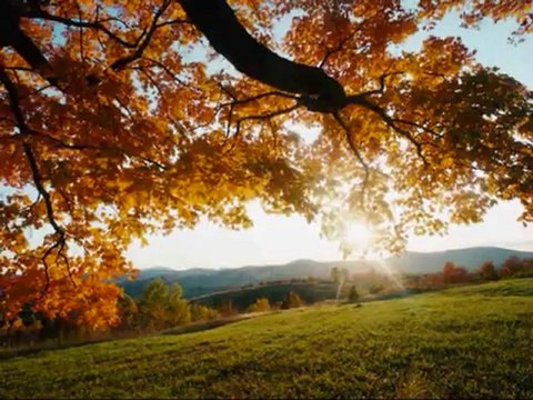 En Guzel Damar Şarkı [2oo9] [Damar] [Ramazan]