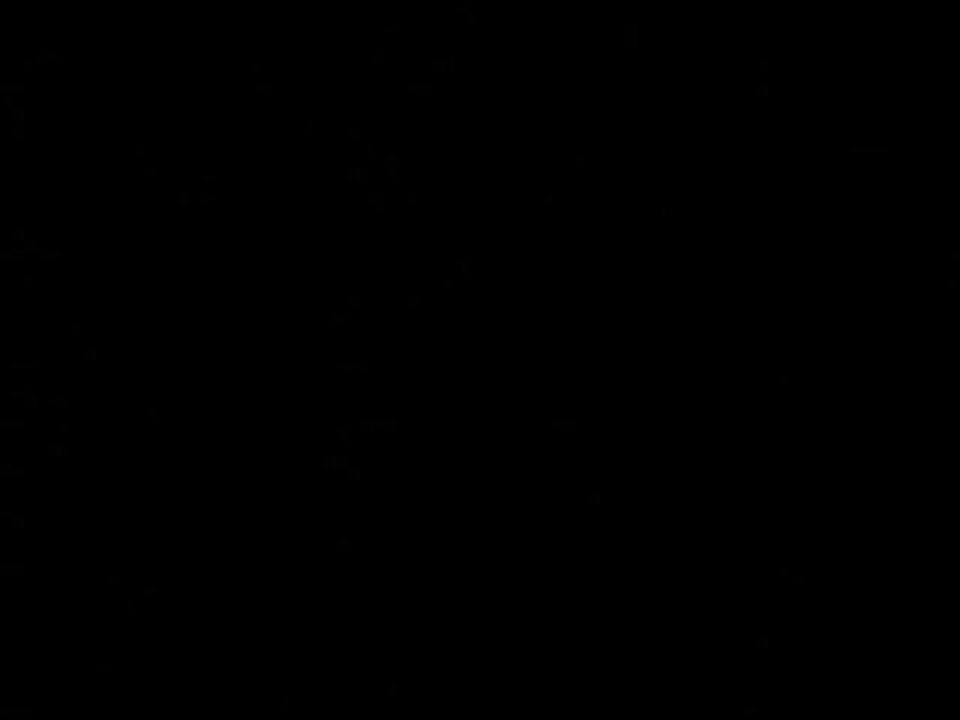 Le_tresor