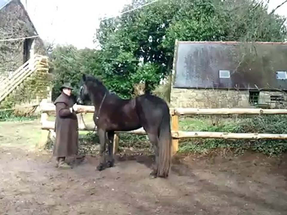 Lulu lors de sa première mobilsation