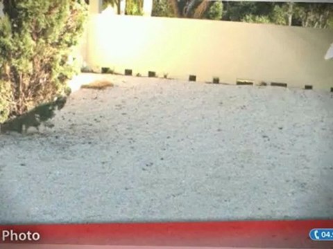 Appartement F3 à vendre, La Seyne Sur Mer (83), 295000€