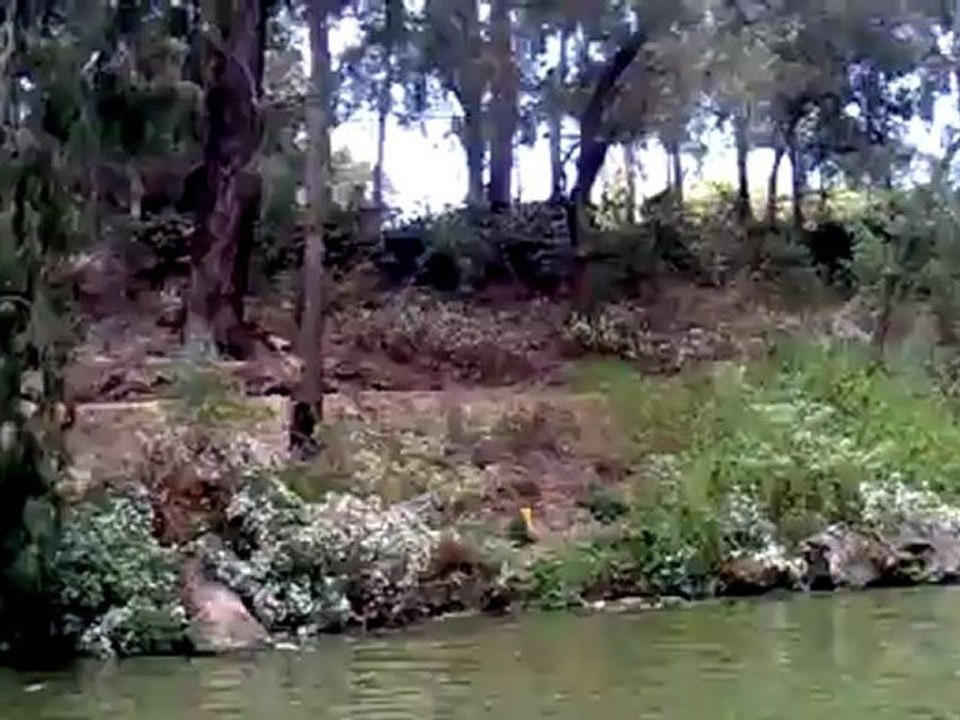 ooty boating