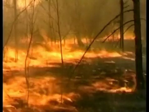 Russia battles with forest fires and spring floods