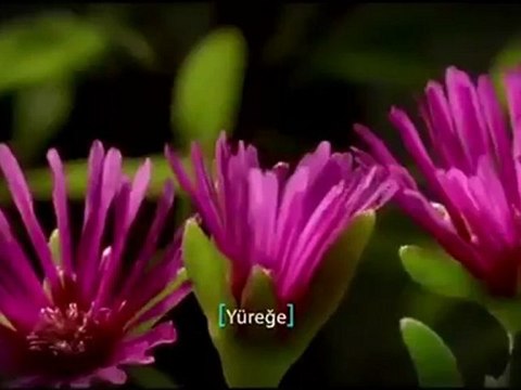 2012 Kutlu Doğum Sinevizyon Filmi (Kardeşlik Ahlakı)