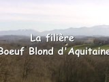 présentation de la filière Boeuf Blond d'Aquitaine.