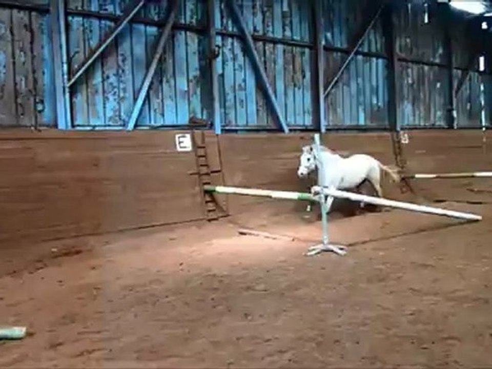saut liberté