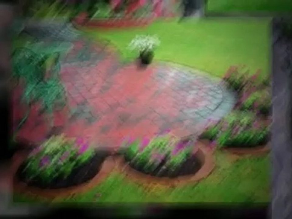 Best Bobcat Landscape