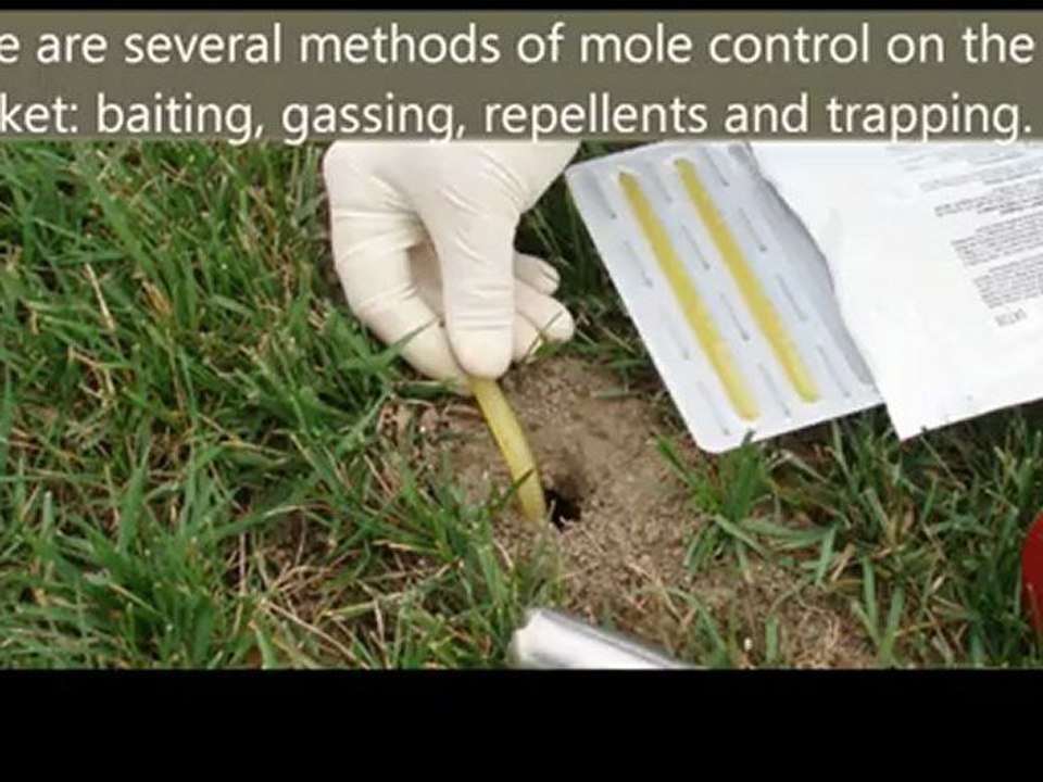 wildlife control lancaster county