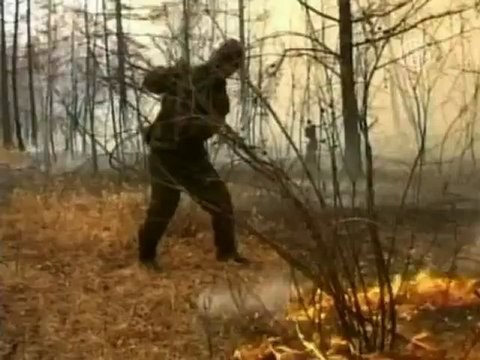 В Мордовии из-за паводков введен режим ЧС