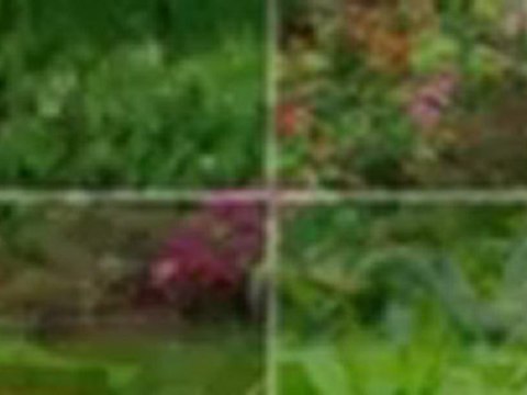 Steve's Lawn Service - (508) 832-3664