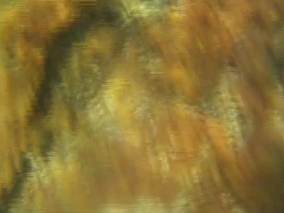 1ère compilation de mes vidéos de bodyboard