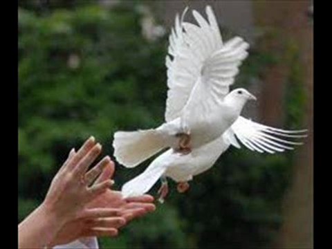 LACHER DE COLOMBES MARSEILLE MOON EVENTS 0664937284