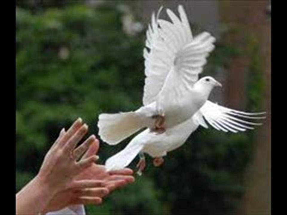 LACHER DE COLOMBES MARSEILLE MOON EVENTS 0664937284