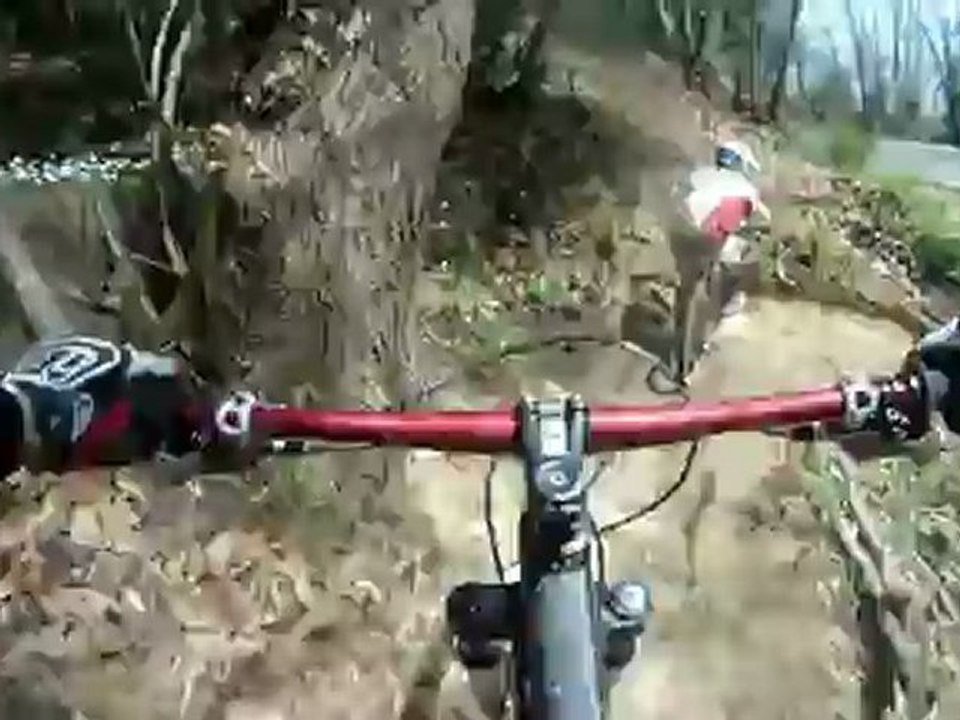 DH Sanremo - Il Boe alla caccia di Micio sulla Due Muri