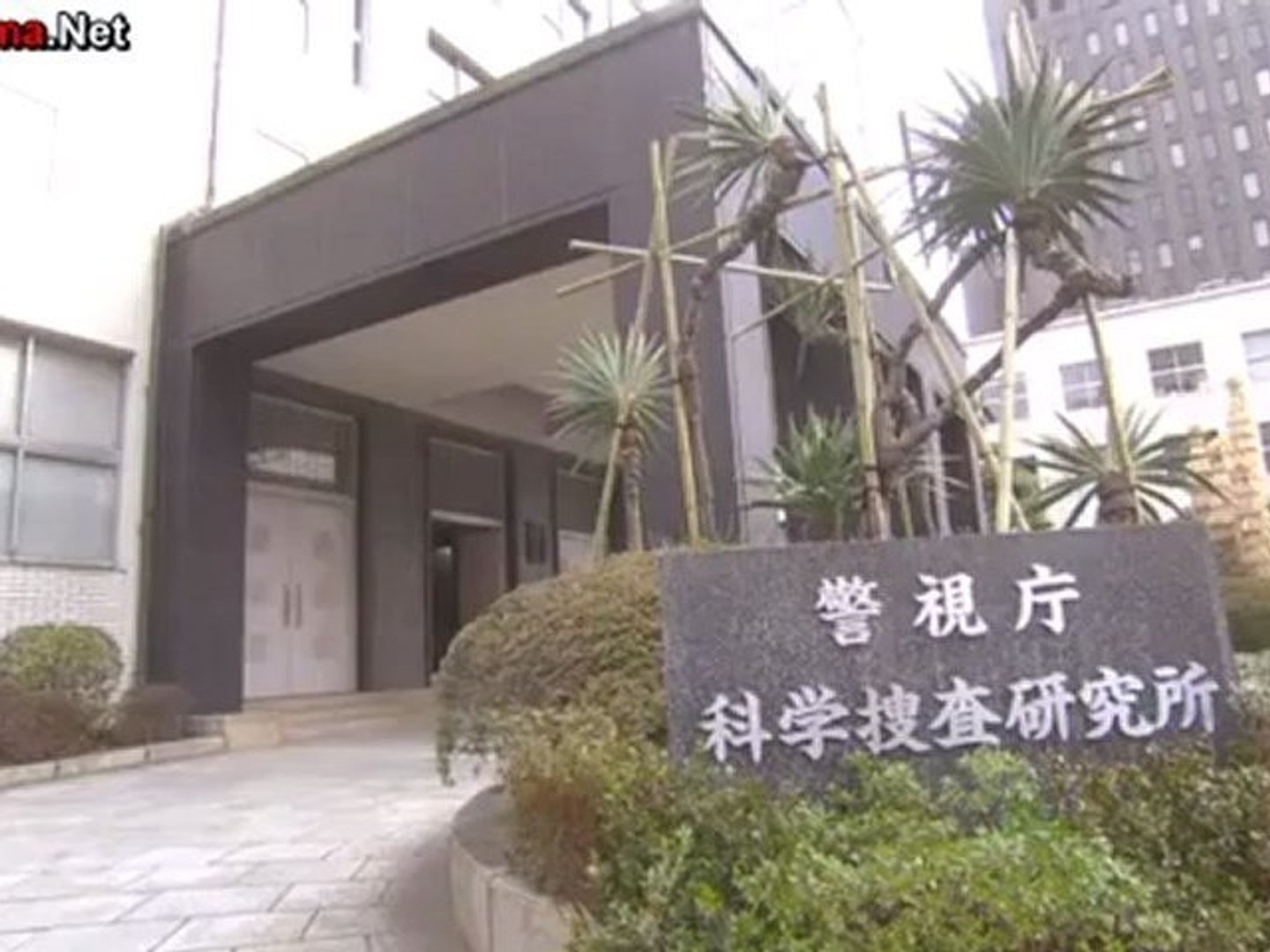 高い素材 キイナ 不可能犯罪捜査官 TVドラマ - mahaayush.in