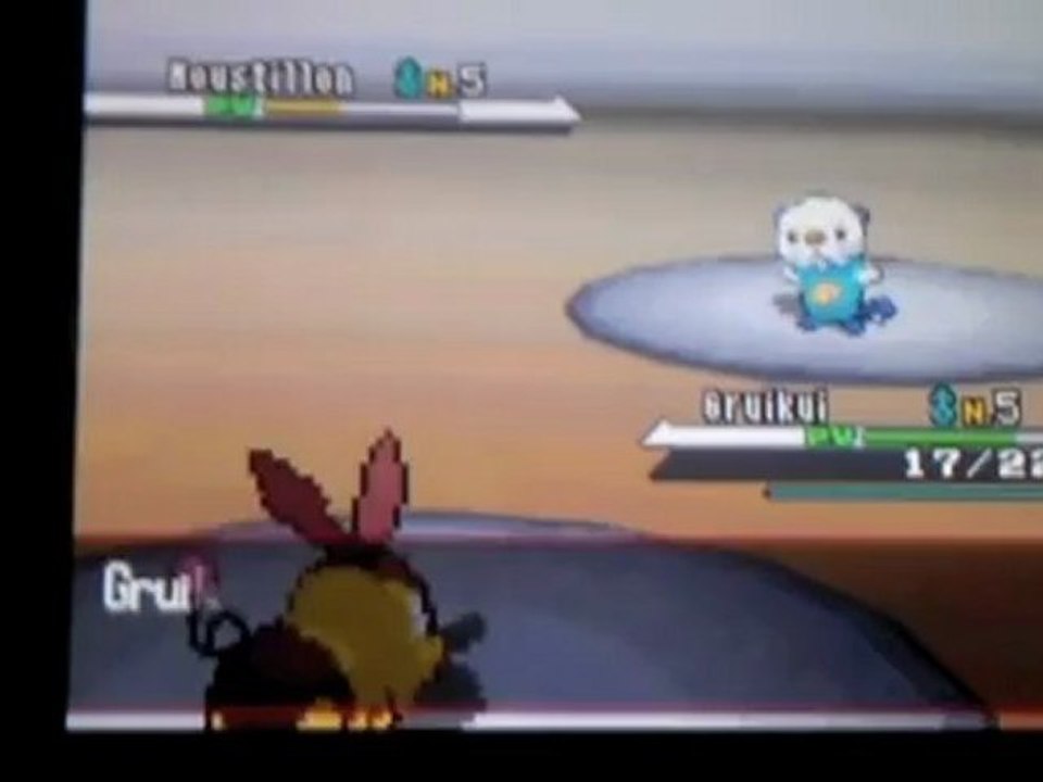 Gruikui Shiney - 76h de reset (4600 resets environ)