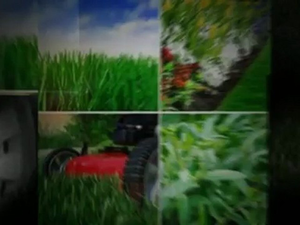 F Francisco Lawn