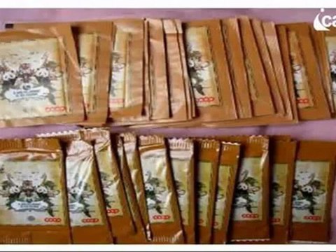 Icaro Tv. Figurine degli animali. caccia al numero