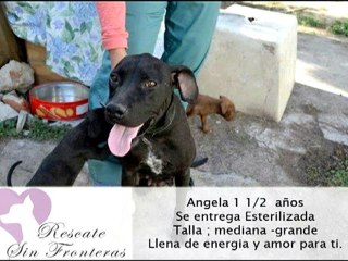 Rescate sin fronteras