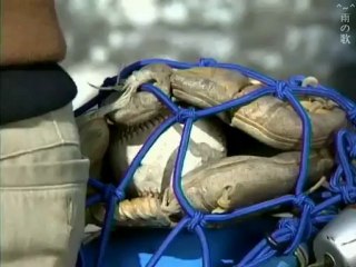 Kimi to Ita Mirai no Tame ni - 04