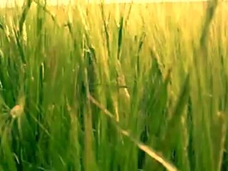 The Longest Way Books