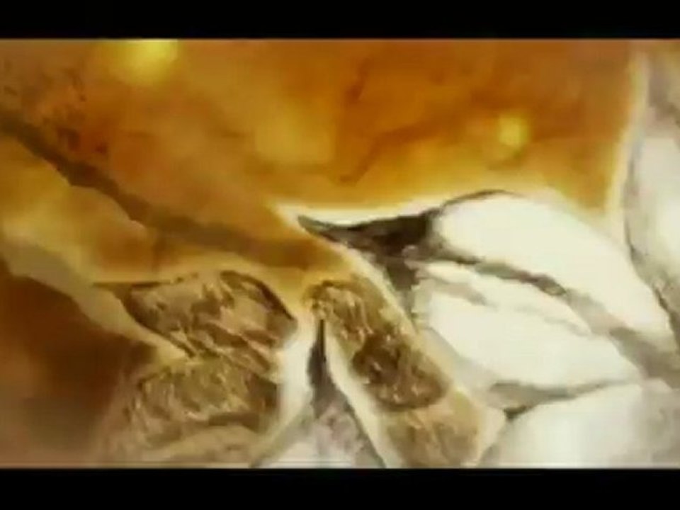 Pandora's Tower < 03 > Et de une !