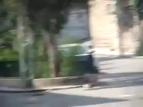 فري برس ريف دمشق التل صمود الأحرار أمام هجمة العصابة الأسدية 20 4 2012 Damascus