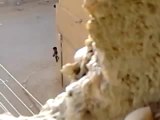 فري برس  البوكمال  بطل واحد من الجيش الحر يواجه كلاب بشار20 4 2012 Damascus