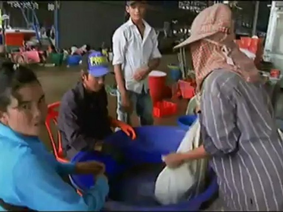 Thailande, des insectes contre la faim [ARTE]