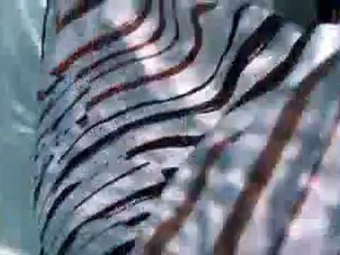 Kodak Zx5 PlaySport Full HD Camcorder (5,1 cm (2 Zoll) Display Video Camera Bundle