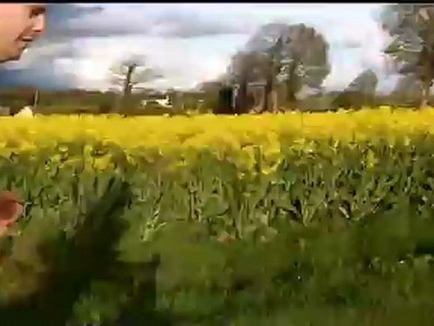 courir pour un enfant à évran 2012 avec mario et son petit vélo
