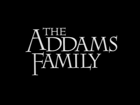 1991 - La Famille Addams - Barry Sonnenfeld