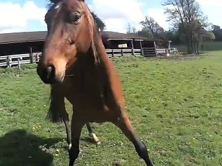 Lulu avril 2012 video2