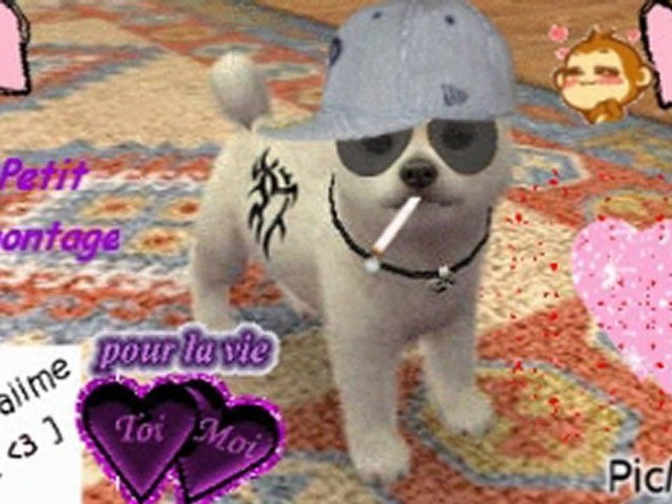 Nintendogs+Cats Haribo