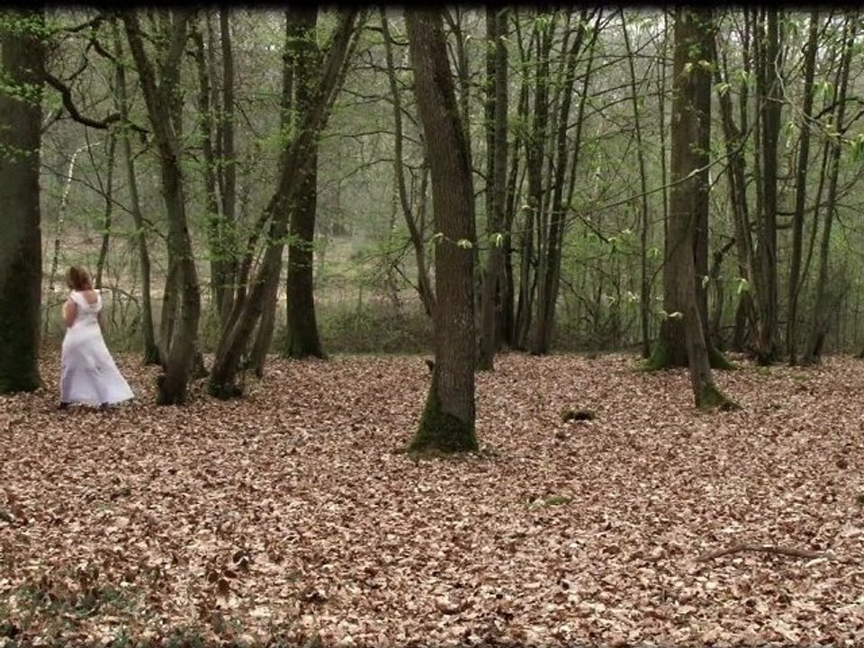 Libertivi.com - Sur les planches - The Crow, The Owl And The Dove