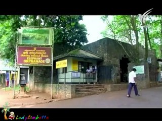 ท่องแดนธรรมชาติ - ศรีลังกา 21Apr12