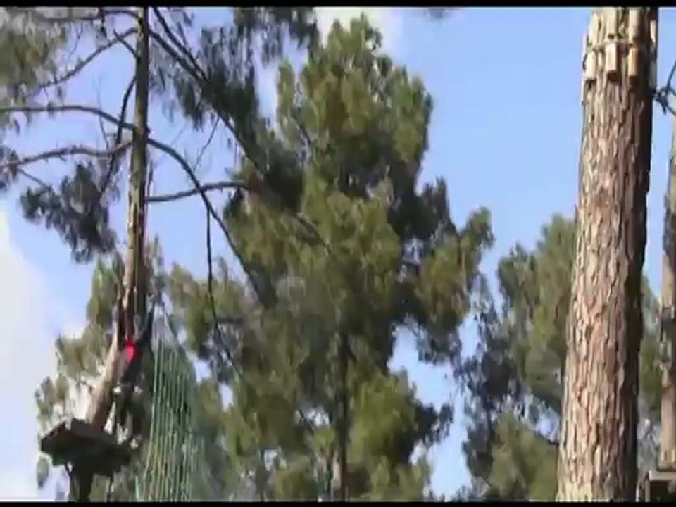 session d'accrobranche FreeCapture