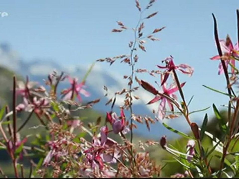les alpes, les sommets de l'extreme (2 et fin)