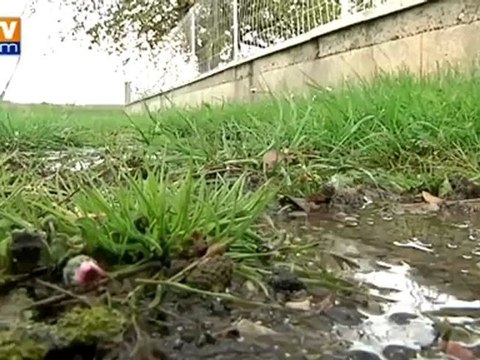 Sécheresse : malgré la pluie, le niveau des nappes phréatiques reste bas