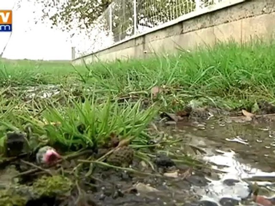 Sécheresse : malgré la pluie, le niveau des nappes phréatiques reste bas