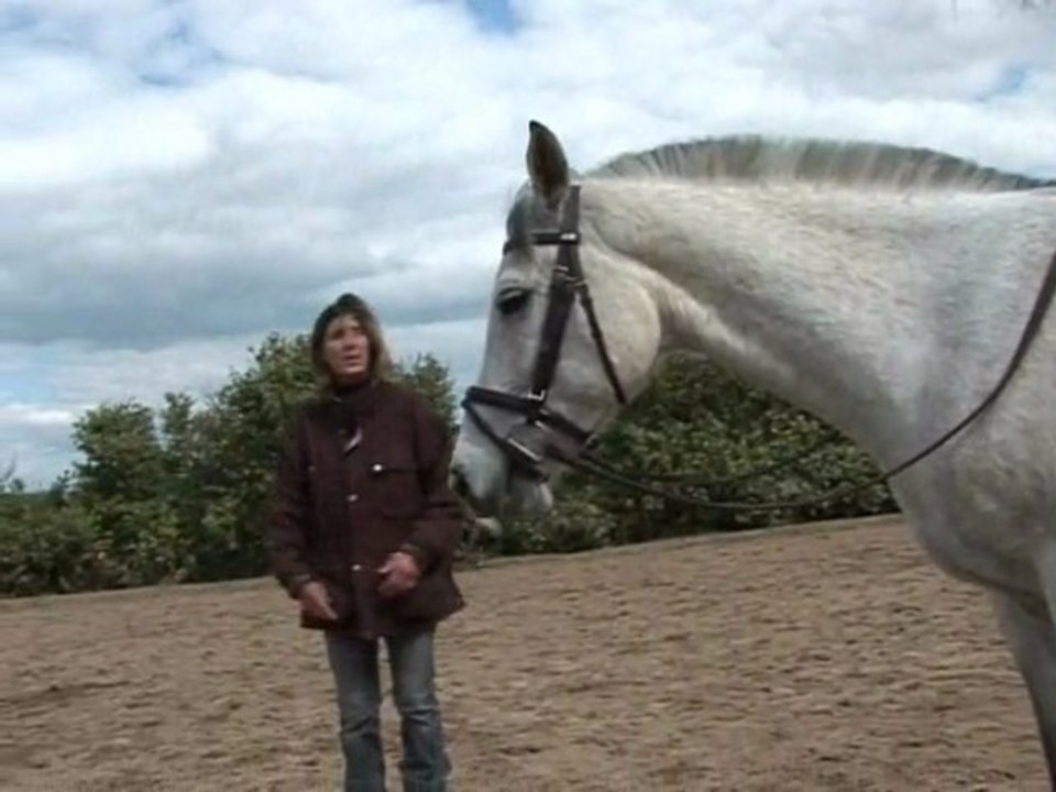 Demander et c'est tout..(stage Nathalie avril 2012)