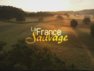 la loire, un fleuve libre (1)