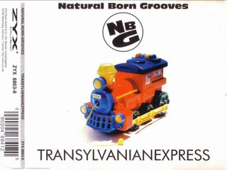 NATURAL BORN GROOVES - Transylvanian express (club mix)