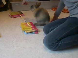 Kaninhop de Fripouille,echauffement