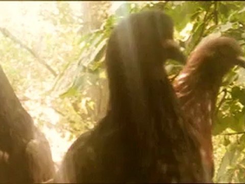 AL RECORDAR TU NOMBRE 3D / MI ALMA PERFORMED AND COMPOSED BY ALISA GLADYSEVA ALIAS GUITAR