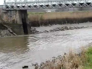 1-08-04-12 Mascaret à Carentan