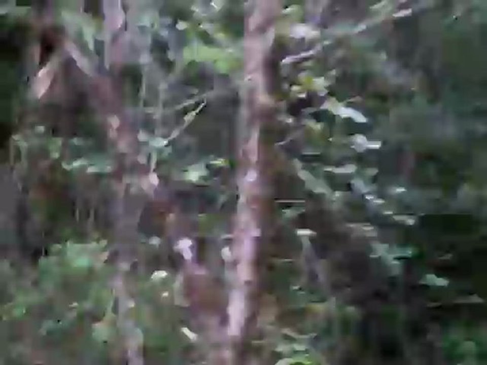 CIMG3184