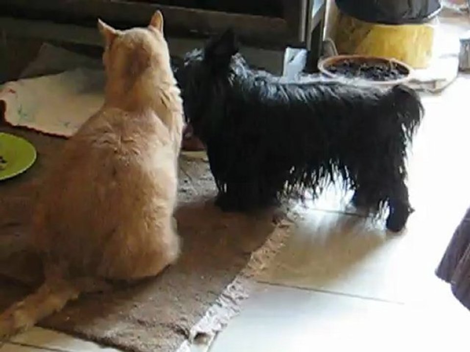 Mathis et Doudou
