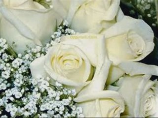 HARPUTTA BİR GÜL GÖRDÜM söz ANONİM yorum RASİM KULUÖZTÜRK okuyan BURCU ÖNER (kaya)